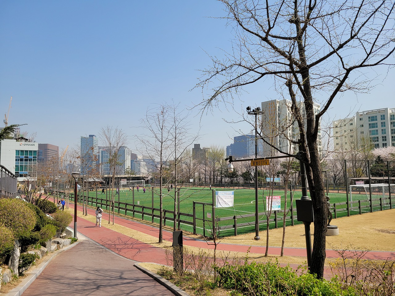 莫兰特考虑 莫兰特考虑