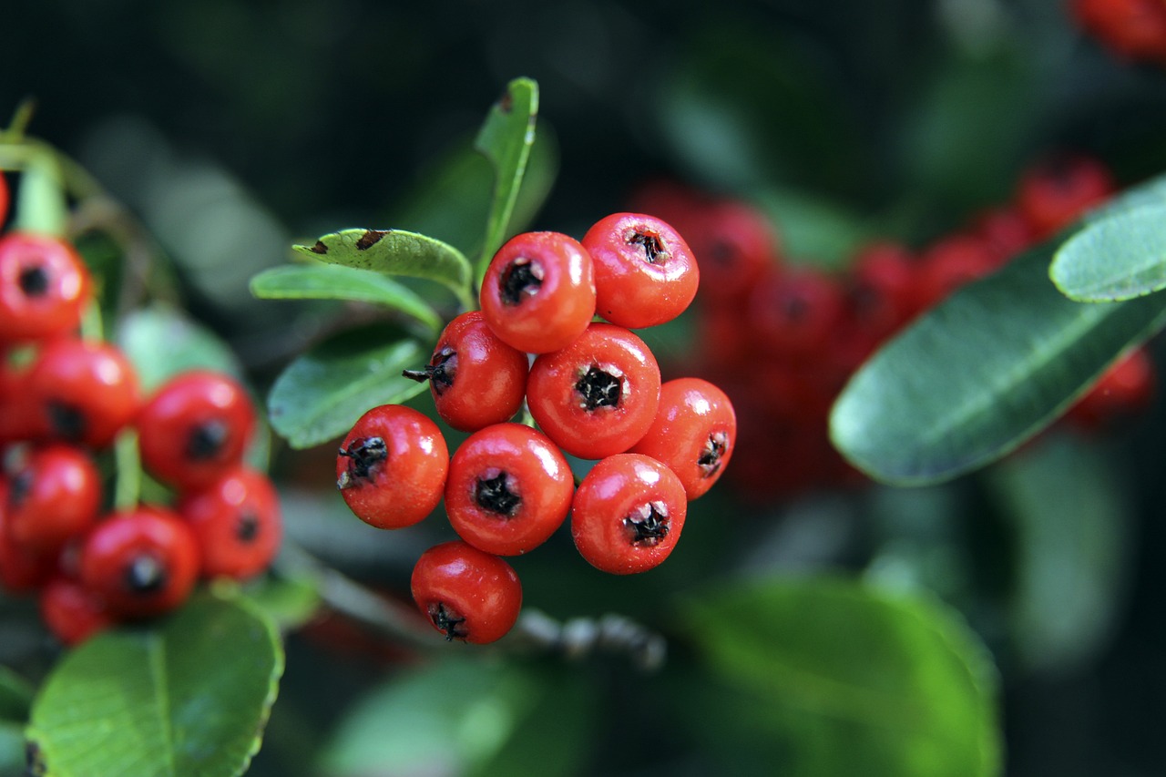 篮球朝着更 篮球朝着更