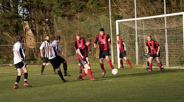 的战术和良 的战术和良